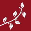 Luther’s Small Catechism APK