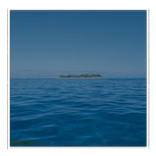 海洋浏览器