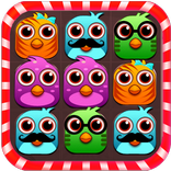 Bird Pop Stars