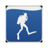 Subsurface Companion (Legacy)