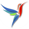 Colibri - Telegram unofficial APK