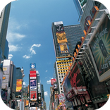 Manhattan Live Wallpaper