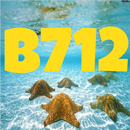 APK B712 Camera