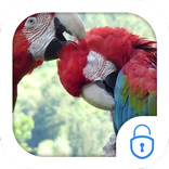 Parrots Live Theme