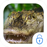 Crocodile Live Theme