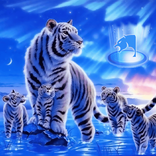 Tiger family