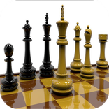 Echecs pro
