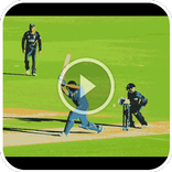 Cricket Live Buzz TV