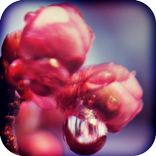 ”Escape: An Old Promise