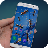 Ants in Phone Joke