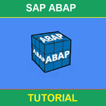Guide To SAP ABAP