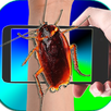 Cockroach On Hand Mega Prank APK