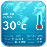 World Weather & Clock Widget