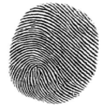 Mobile Detective