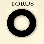 Torus!