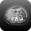 Radiology CT Viewer icon