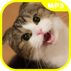 Real Cat Sounds APK