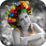Photo Color  Effect
