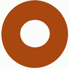 Strava Record icon