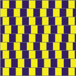 Optic Image Illusion
