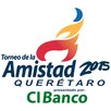 Torneo de la Amistad APK