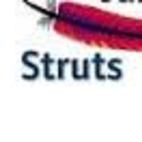 Struts