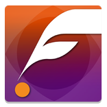 Flash Manager