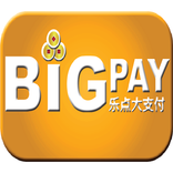 BigPay Preview