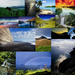My Album