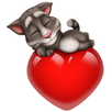 TOM TE AMO APK
