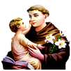 St Antony's Novena APK