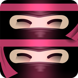 The Last Ninja Twins