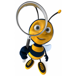 Crazy Bee