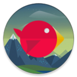 Rocket Bird