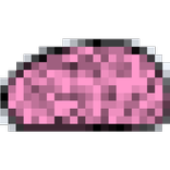 Genio Quiz Craft