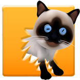 Animated Cats
