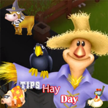 Tips For Hay Day