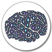Brain APK