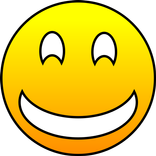 Vicevi