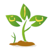 Elif Ba - Learn The Holy Quran APK