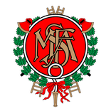 MSFA