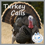 Turkey Hunting Calls