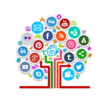 Social Networks
