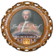 Neuf icon
