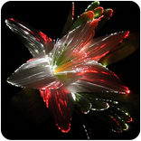 Optic Flower Live Wallpaper
