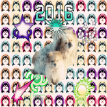 Pop Funny Dog