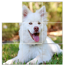 free dog puzzles-APK