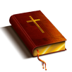 Webster Bible APK