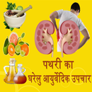 Kidney Stone(पथरी) Home Remedi APK