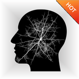IQ Test Brain